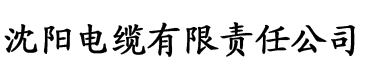 我与恶魔的h生活ova电缆厂logo